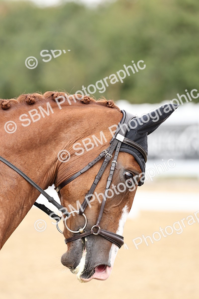 SBM_018247 - Class 16 - Novice 5 - 11.12-12.01