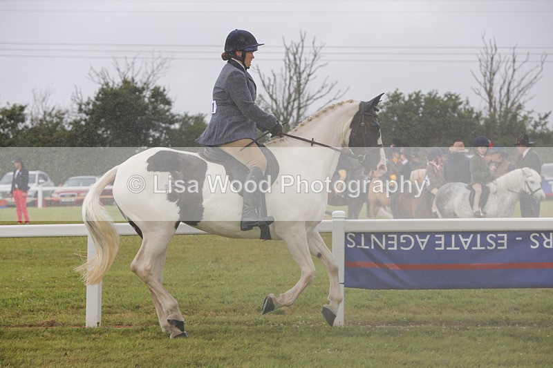 1X9A3007 - Class 26: Ridden Plaited Coloured Pony