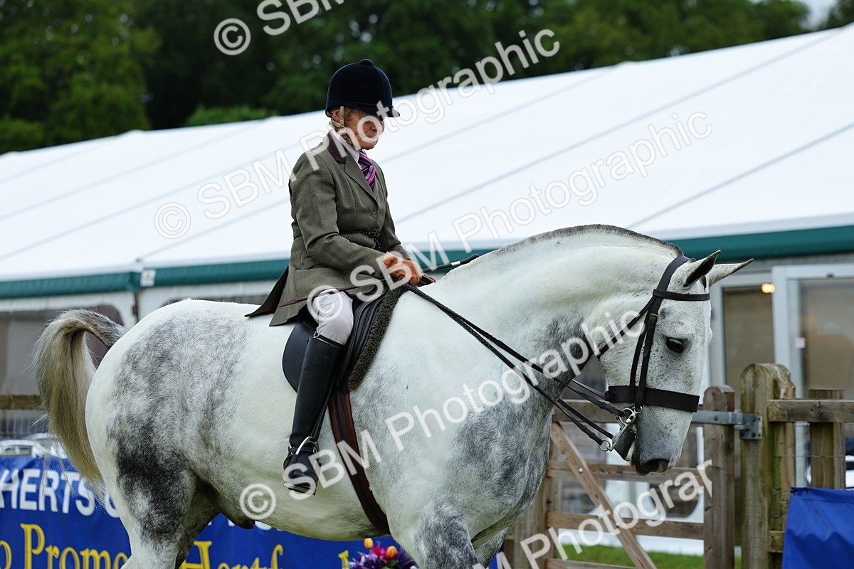 SBM_02463 - Class 9-11 Side Saddle including LIHS Rising Star Ladies Show Horse