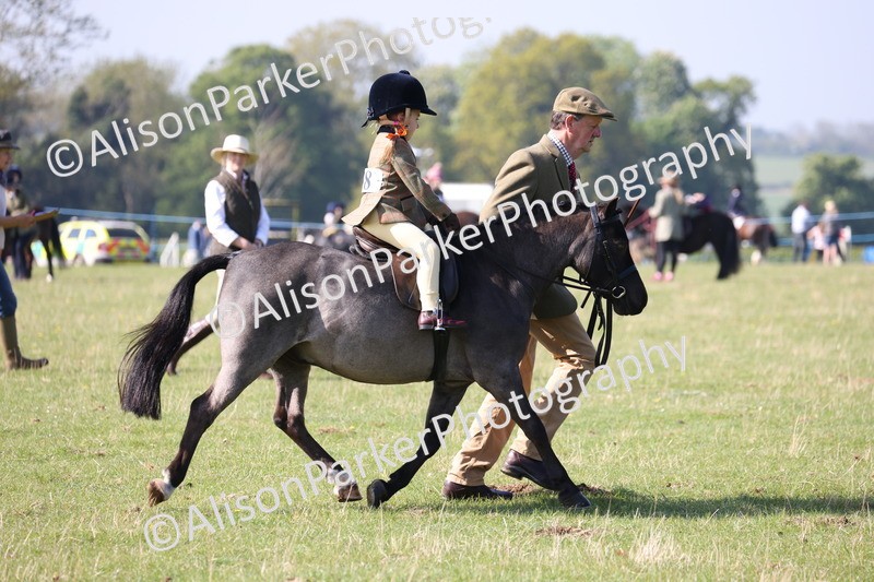 20250427-0170 - Class 30 - Tiny Tots Lead Rein