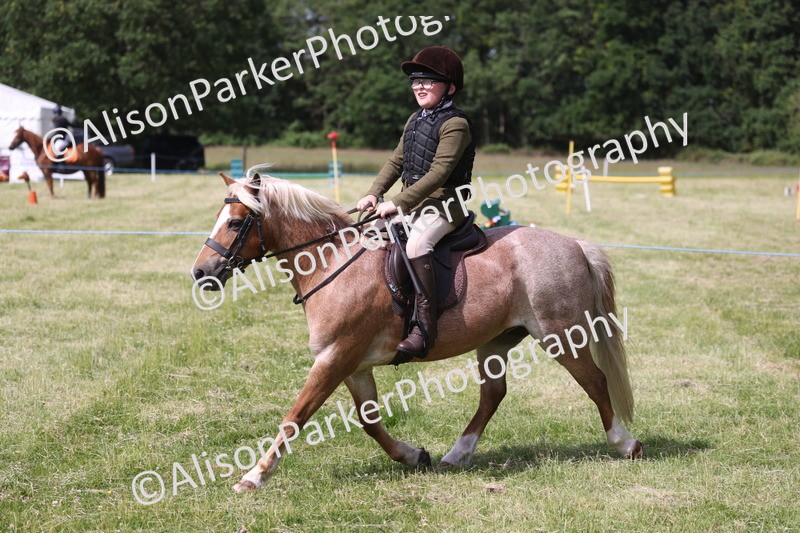 20260614-0753 - Class 20 - Beginners Working Hunter Pony
