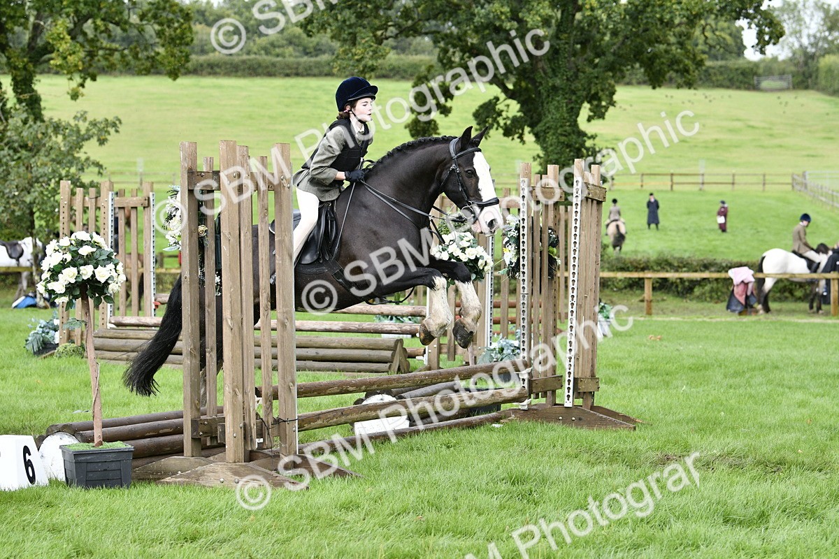 SBM_41497 - S32 - Mountain & Moorland Working Hunter Pony