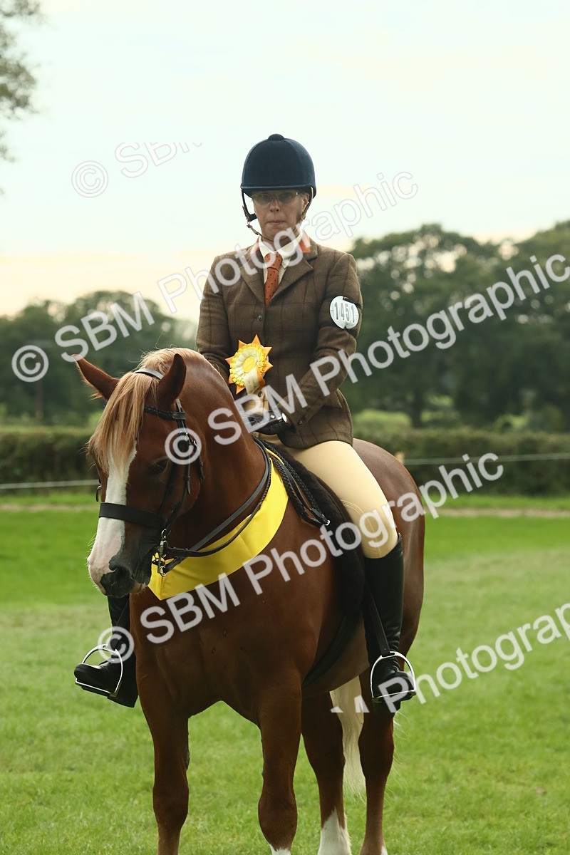 SBM_75061 - Ridden Pony Supreme Championship