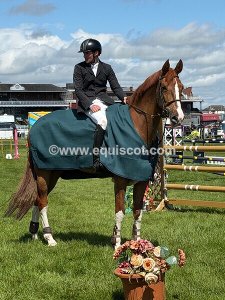 IMG_0448 - CLASS 3 ANDREW HAMILTON RHS FOX CHAMP QUAL