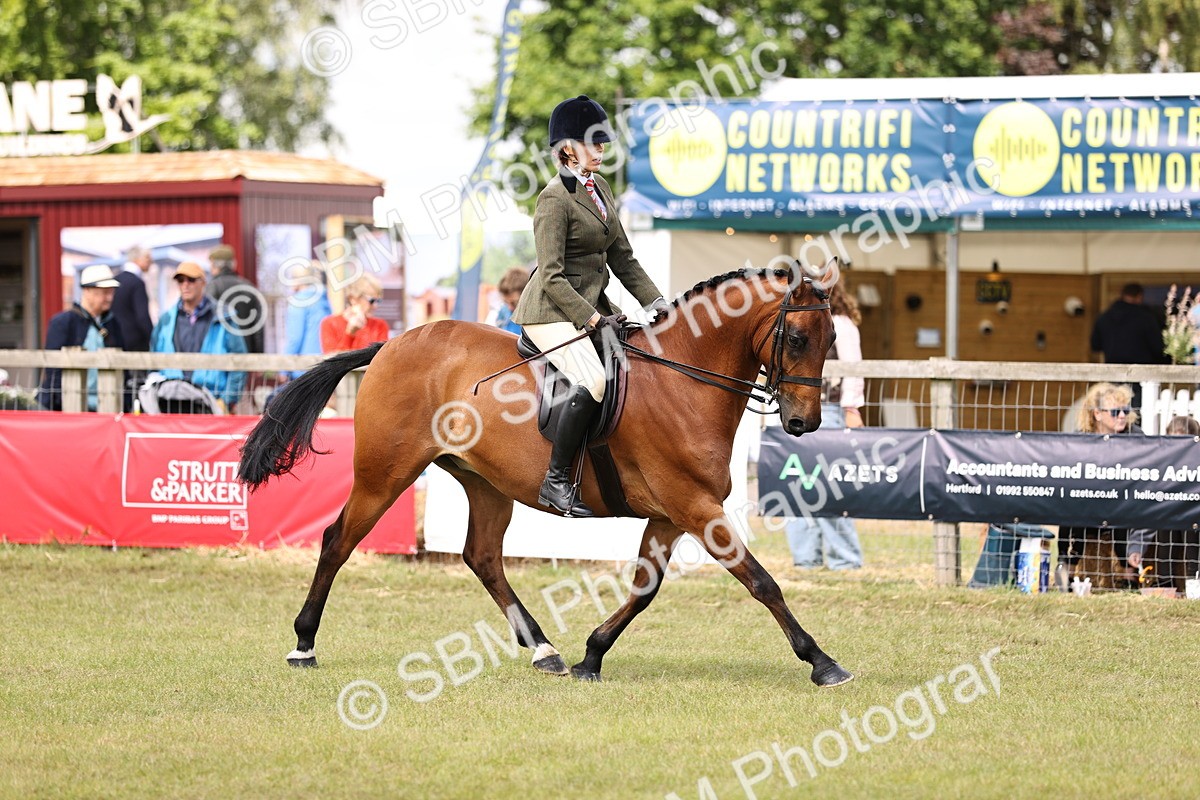 SBM_14567 - Class 88-89 - LIHS BSHA Rising Star of Ridden Hunter Type
