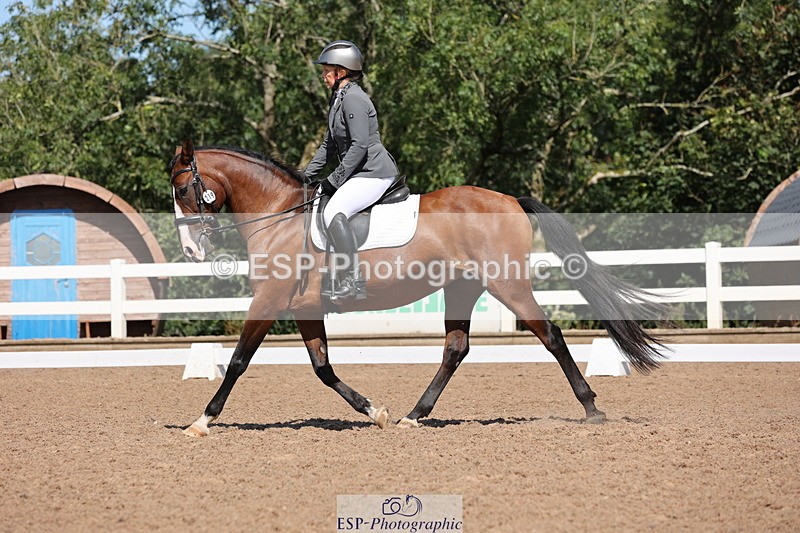 240816A-115805-04317 - 219-Sarah.Baldwin-Ervilha.Dos.Leitoes