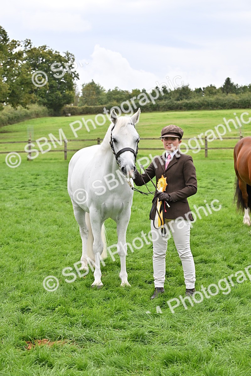 SBM_63323 - S49 - Mountain & Moorland In Hand Large Breeds