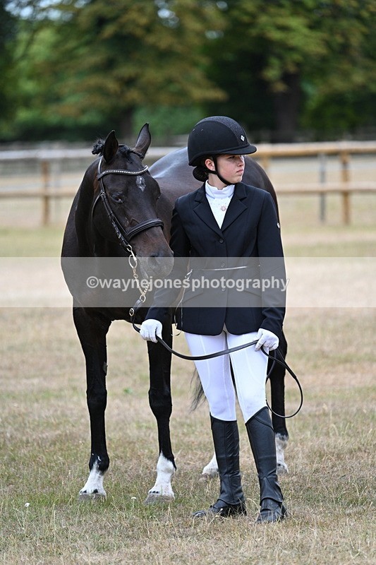 WJ7_9237 - Class 4a Prettiest Mare 14.2hh and over