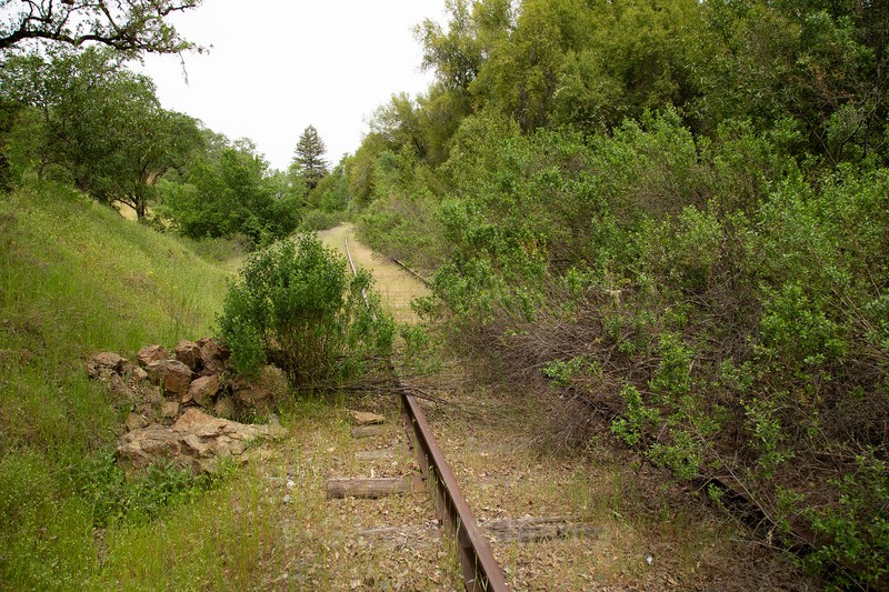 Overgrowth - Abandoned Line
