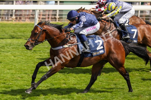 270523-Race 3-Chipstead-0502 - Race 3 2.40pm William Hill Epic Boost Handicap