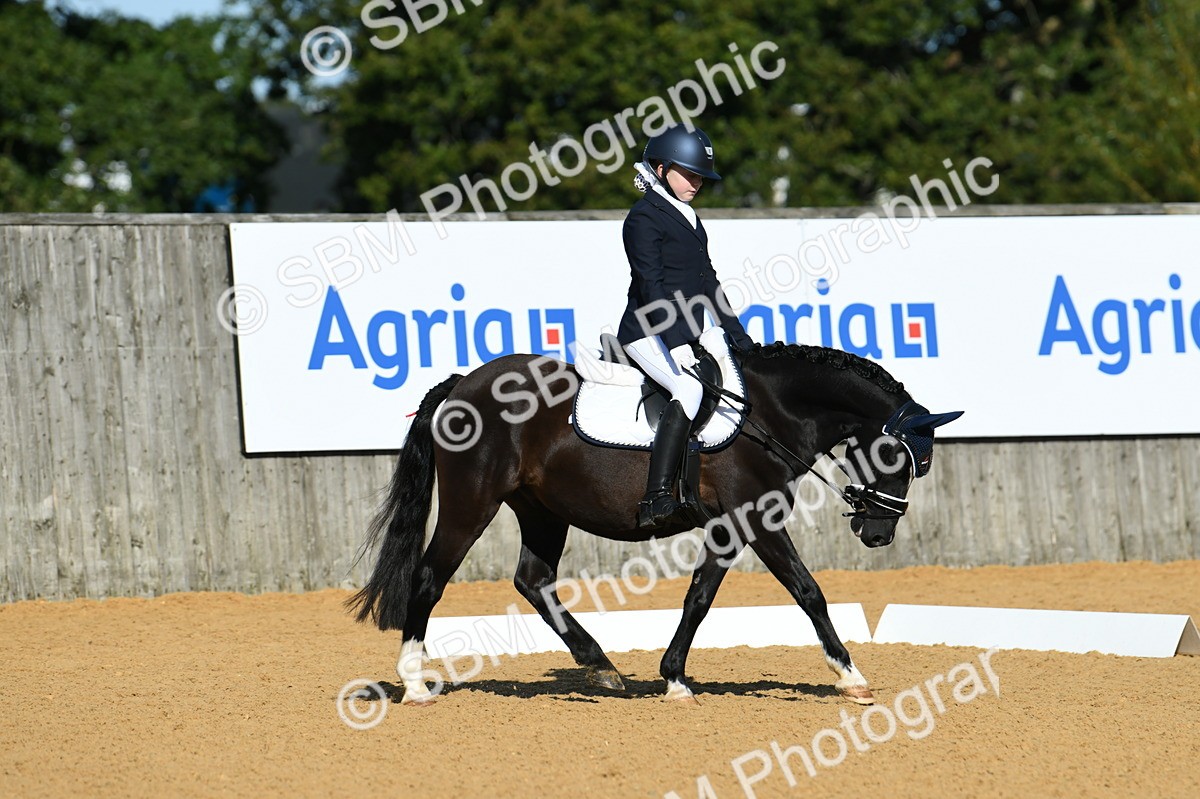 SBM_16325 - D4 - Small Tour Championship - Intro B