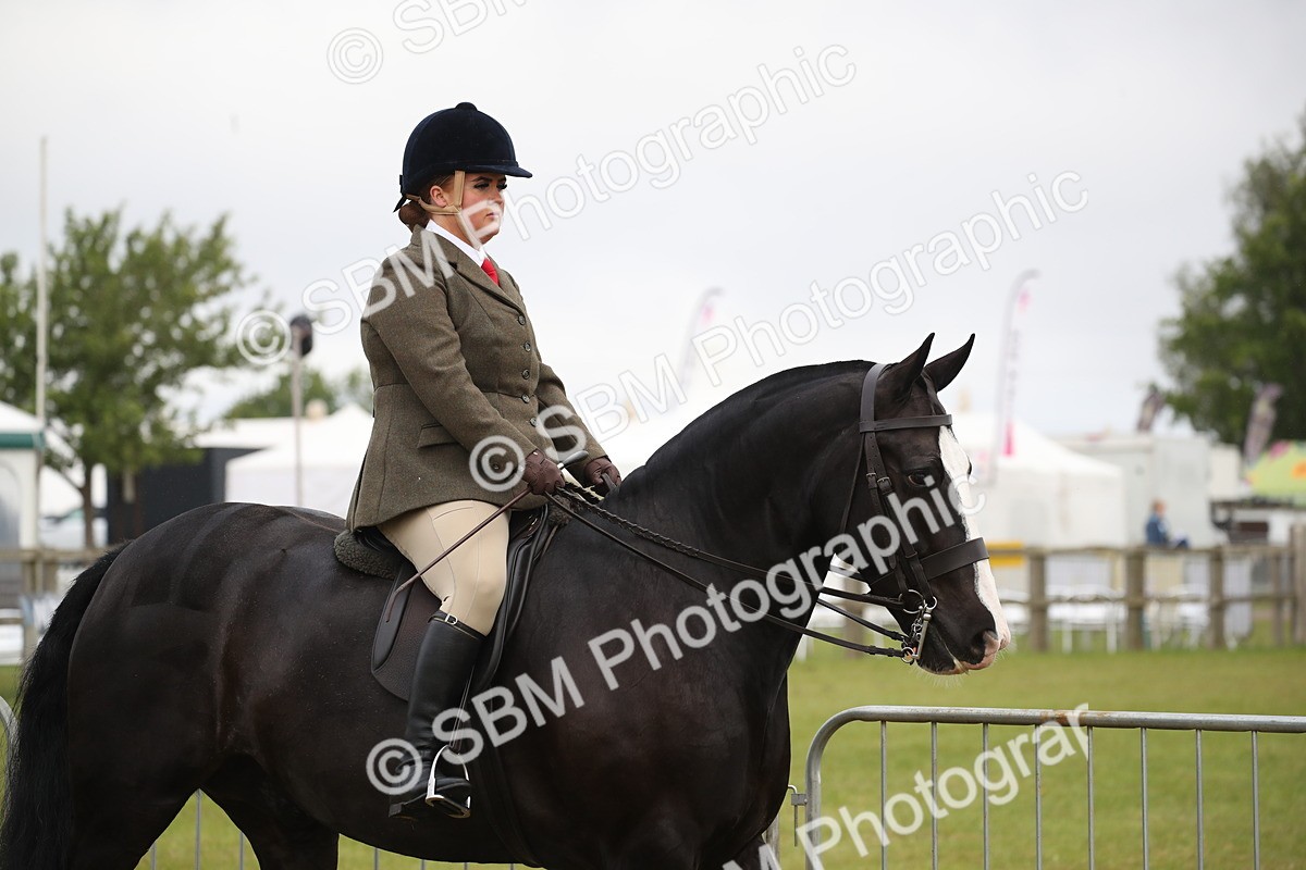 SBM_11021 - Class 92-93 - LIHS BSHA Rising Star Cobs