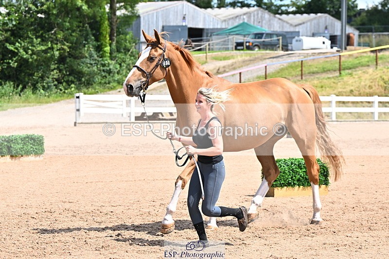 240718A-105251-01241 - Trot Up 12pm to 1pm