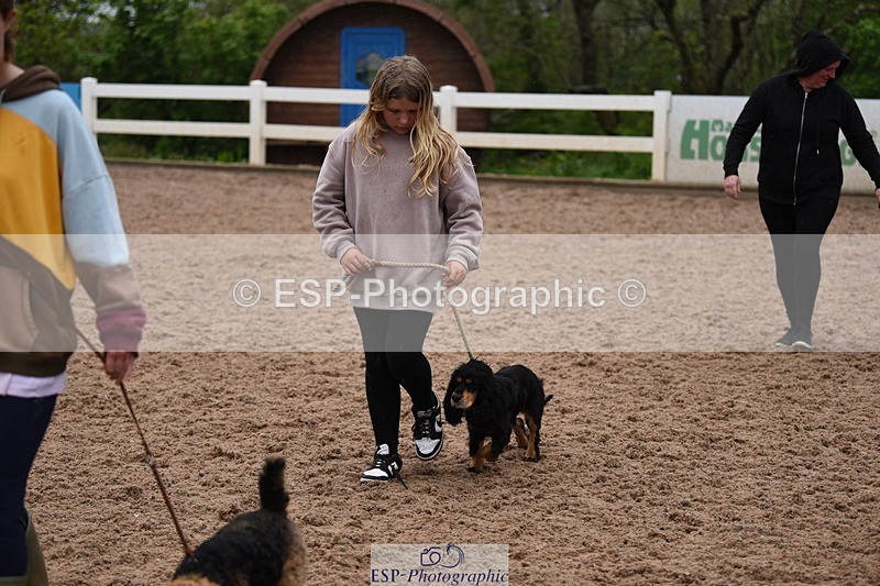 240518A-124642-01185 - Cls 5 Best Purebred