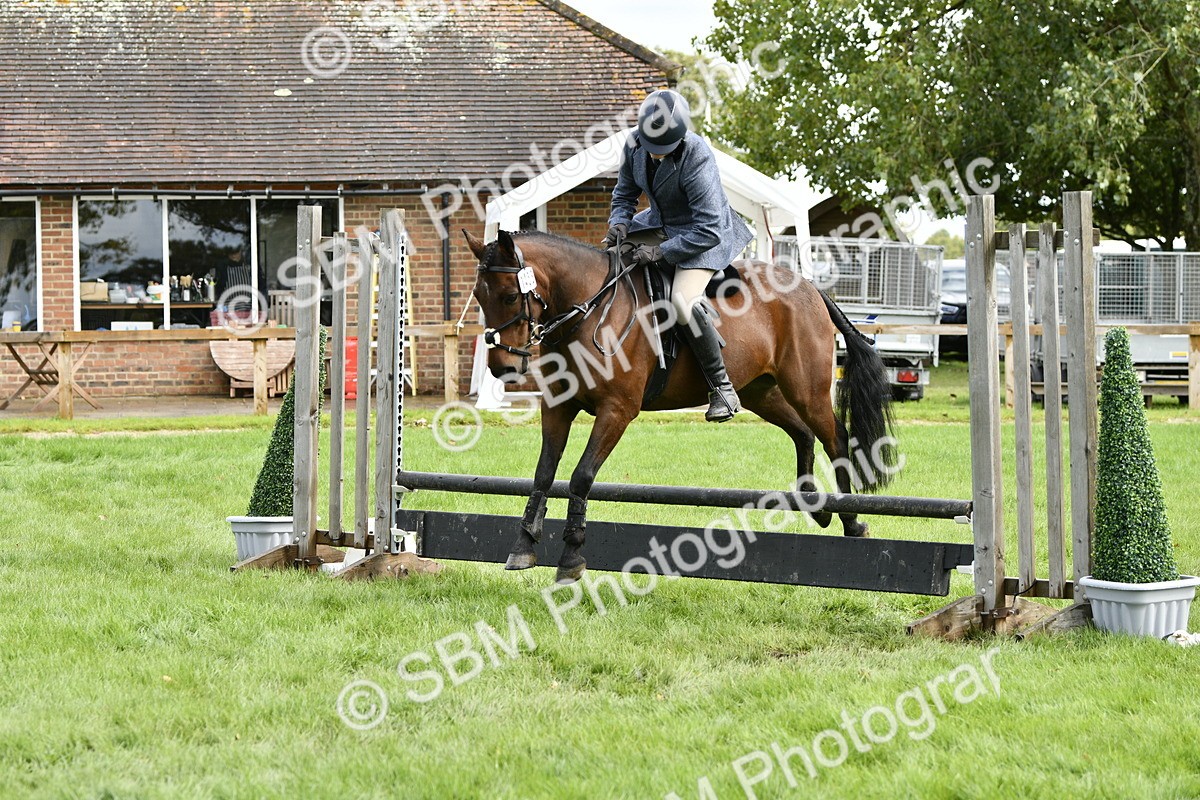 SBM_45619 - S33 - Working Hunter Pony