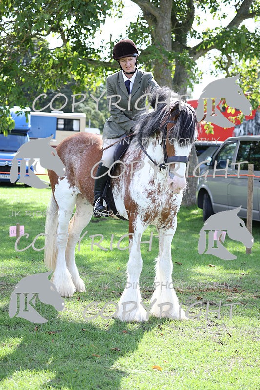 APP_3680 - Class 8 Ridden Class