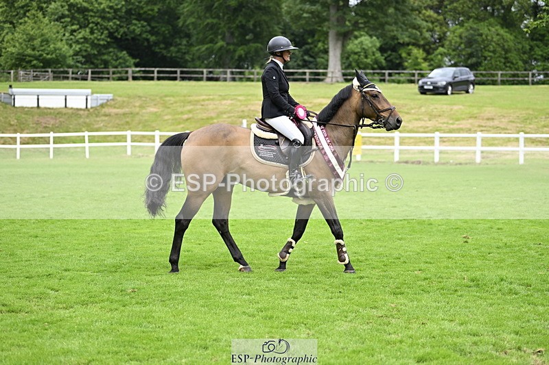 250613A-135937-02448 - Cls 3 Snr Foxhunter