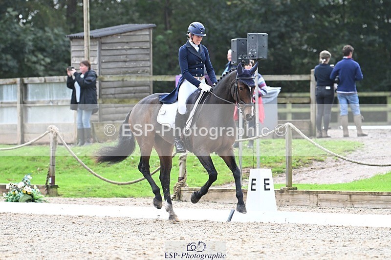 231019-145351-04306 - 057-OVERTON.TILANA'S.GOLD-Claire.Deuten-DR