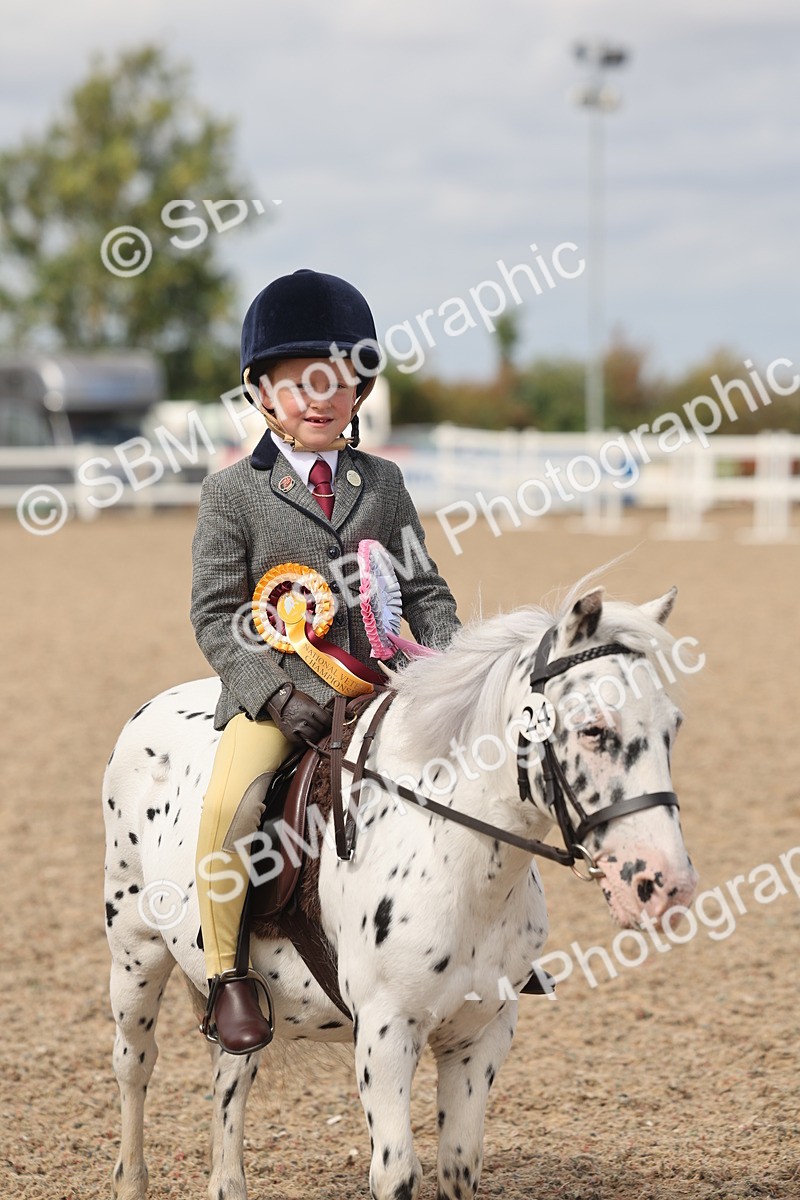SBM_15933 - Class 310 - First Ridden Pony