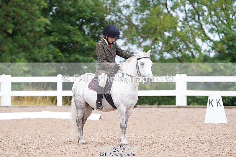 240809A-104430-00645 - Dressage Competition