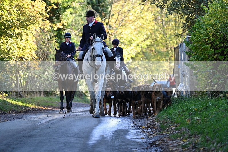 WJ7_8613 - Walk Home