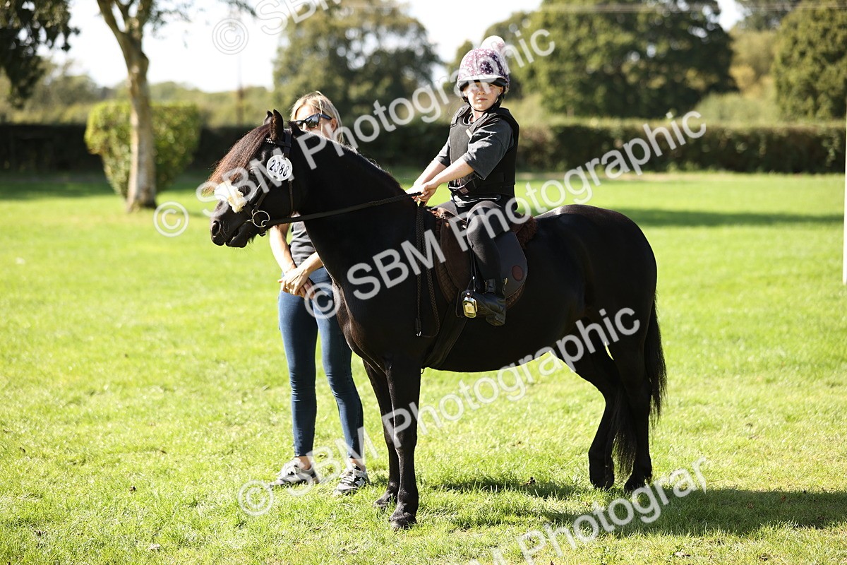 SBM_23034 - S4 - Have a Go at Working Equitation