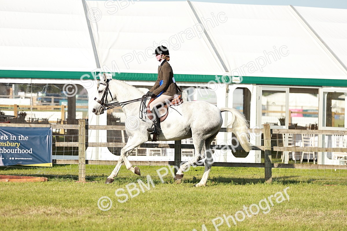 SBM_20110 - Class 115-116 - LIHS BSHA Rising Star Working Hunter & Show Horse