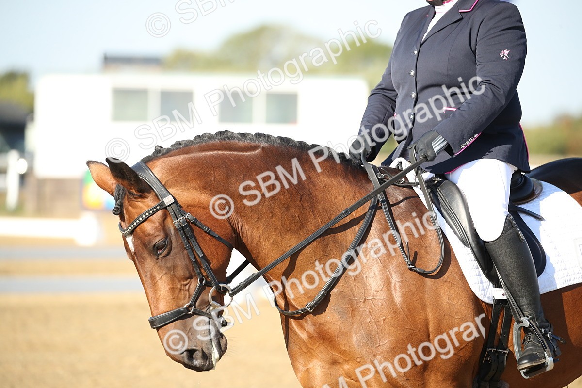 SBM_004480 - Class 11 - Novice 5 - 9.0010.03