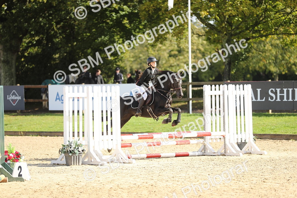 SBM_40198 - J21 - Junior Horse 60cm Championship