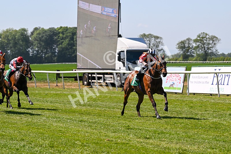 170525-Race 2-Kodiac Thriller-7985 - Race 2