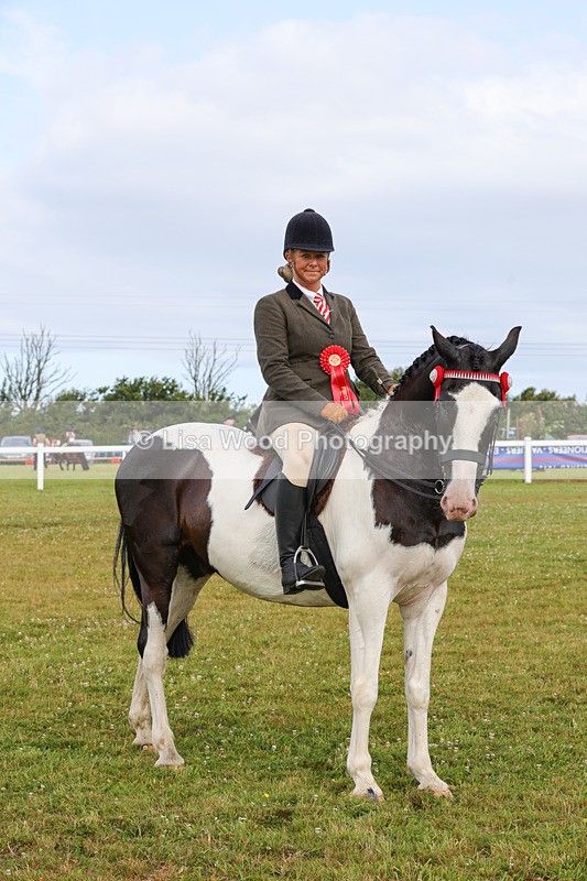 1X9A3079 - Class 26: Ridden Plaited Coloured Pony