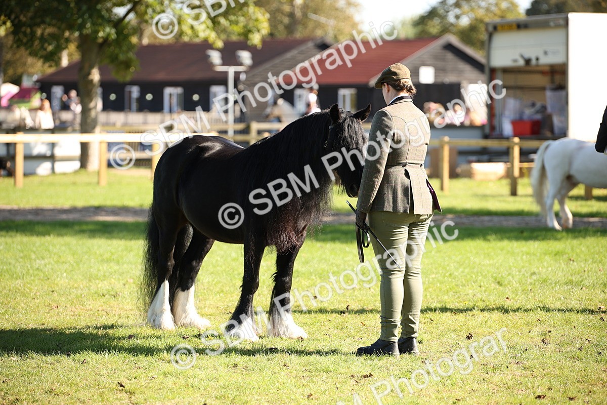 SBM_36639 - S10 - Best In Hand Horse & Pony