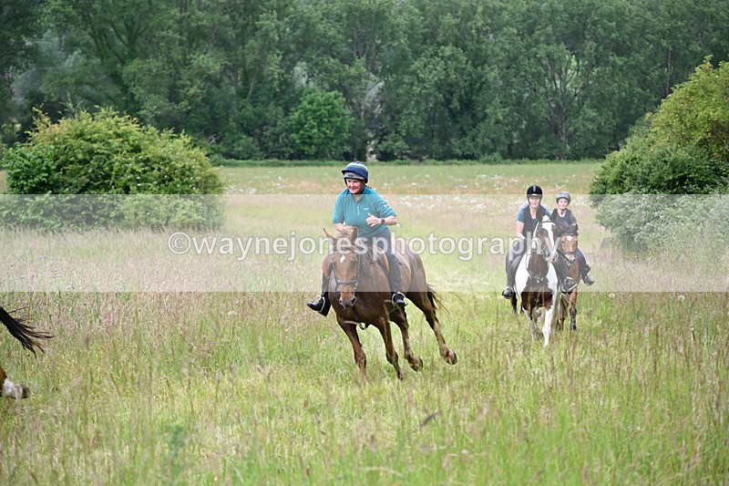 WJ6_8185 - Camera 1 Gallops