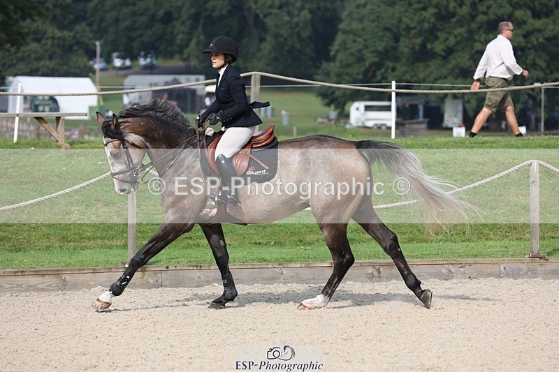 230908-102715-00444 - Cls 6 Snr British Novice & 90cm Open