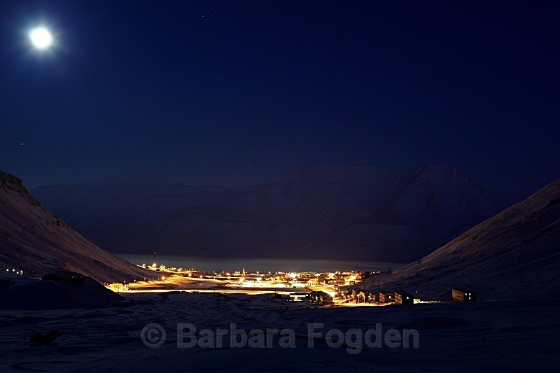 Longyearbyen in moonlight 5069 - Polar night