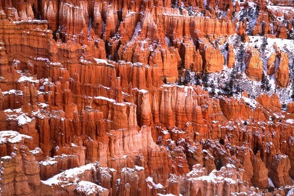  - Australian and American Landscapes
