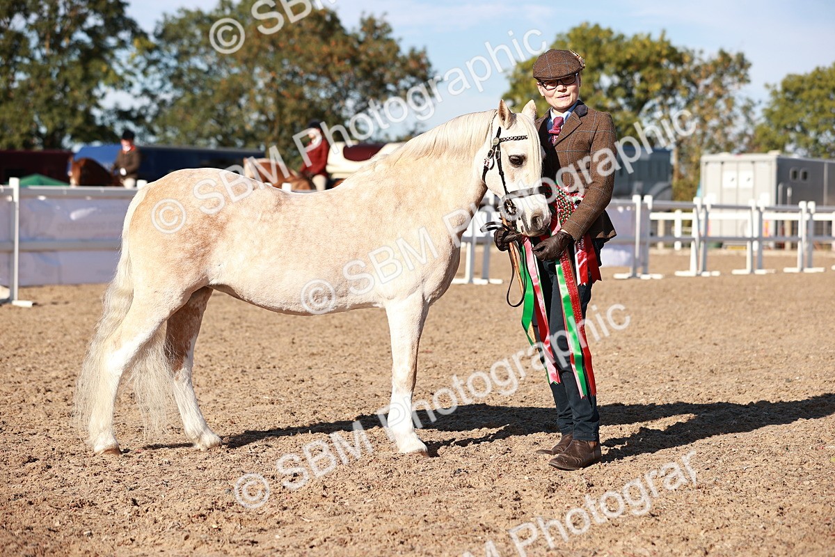 SBM_11457 - Class 402 - IH  Veteran pony