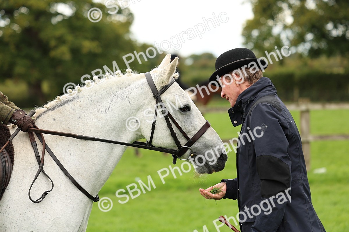 SBM_45346 - S33 - Working Hunter Pony
