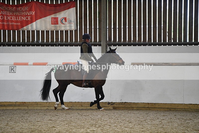 WJ5_7956 - Class 13 Ridden Part Breed