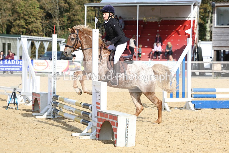 3E7A6887 - Class 2: 50cm Open