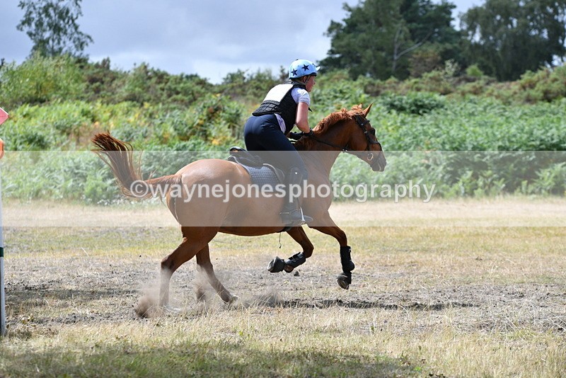 WJ5_2049 - XC Time 12:56 to 13:21