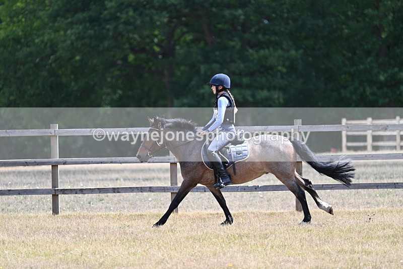 WJ7_0912 - 60cm Time 12:26 to 12:46