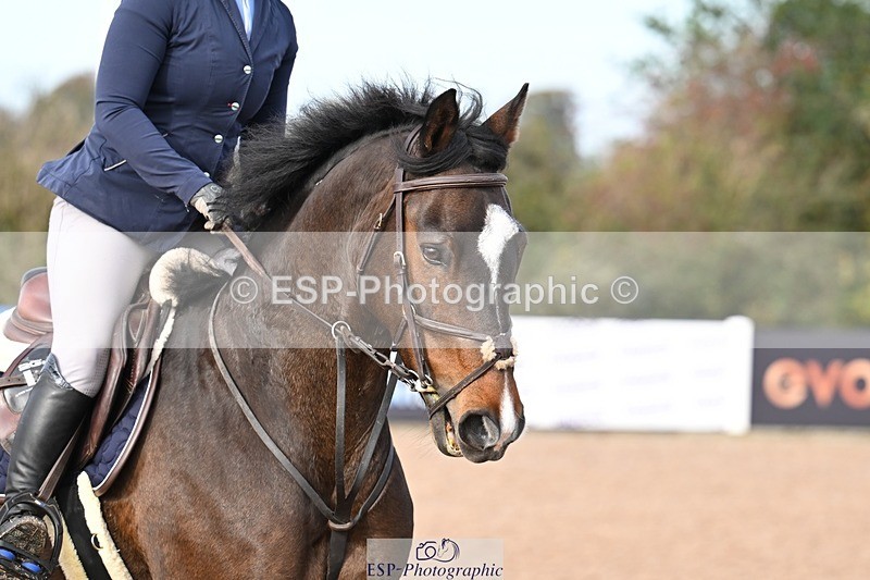 251022-110155-00191 - Clear Round & Cls 1 Brit Nov 90cm