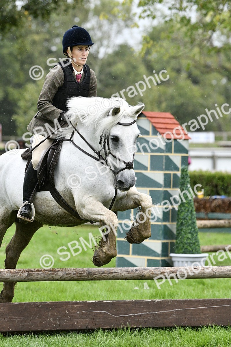 SBM_42279 - S32 - Mountain & Moorland Working Hunter Pony
