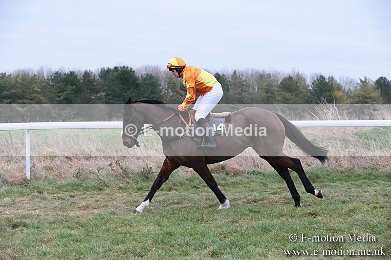 PtP 060119 517 - Larkhill Racing Club - Point-to-Point- 06/01/2019