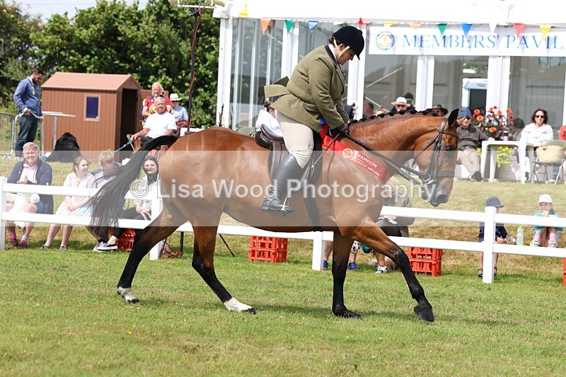 3E7A0707 - Rising Star Ridden Championship