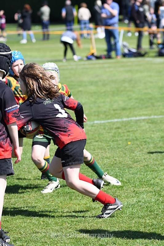  - Selby Rugby Festival 2025