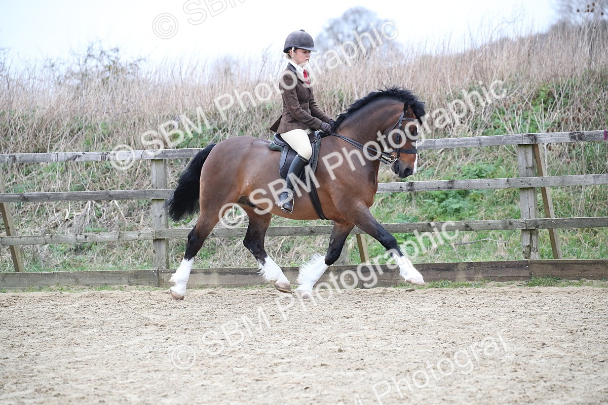 SBM_006365 - Class 10-13 - RIHS Small Large Breeds