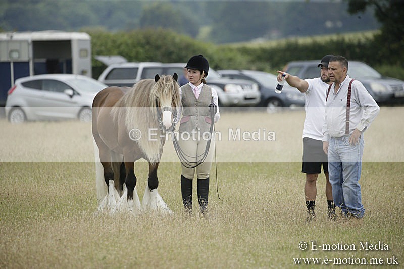 B230619-0695 - Bourne Valley Riding Club Summer Show 23/06/19