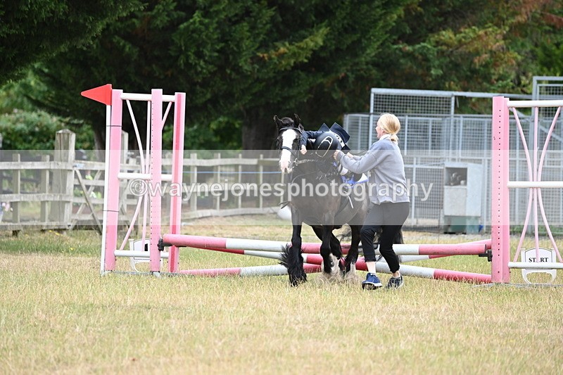 WJ6_9470 - Class 12 Minimus Jumping 45cm